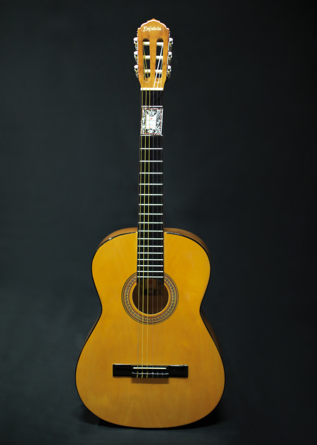 guitarra